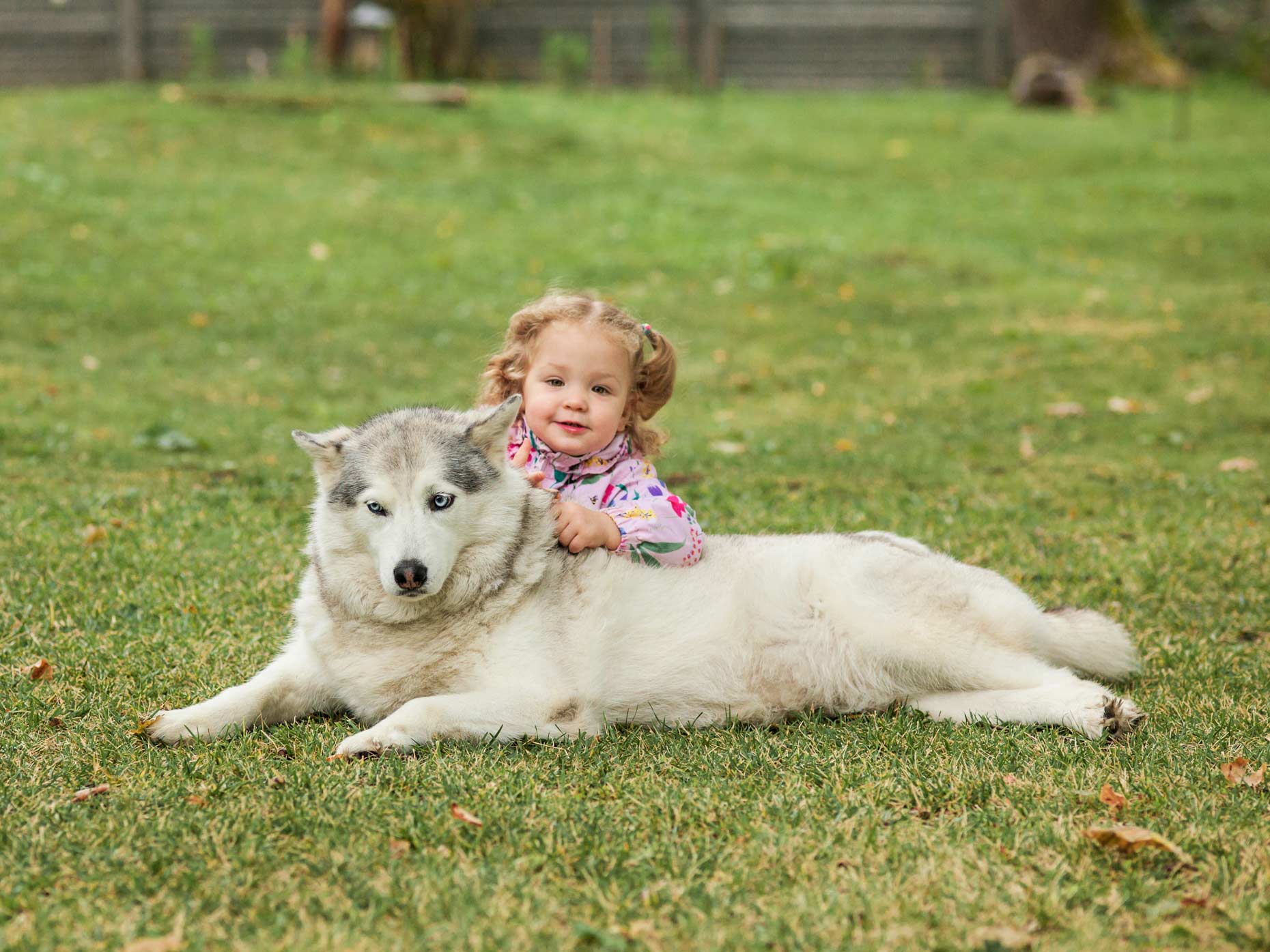 bambina e grosso cane distesi nel prato